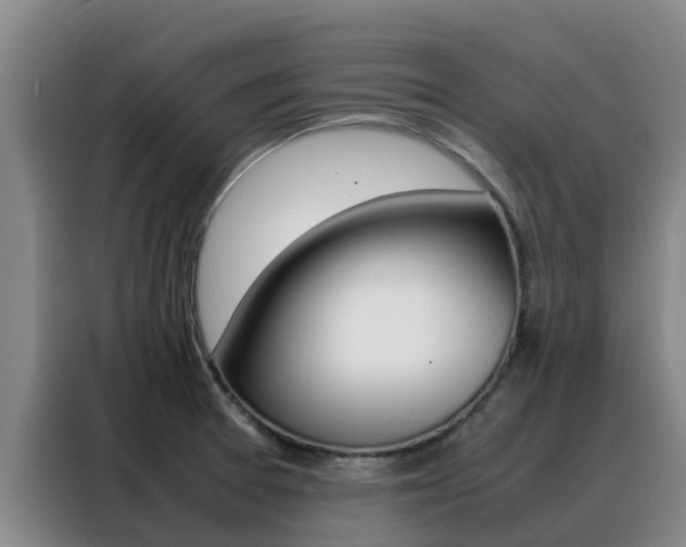 X0000088361377200705220724
