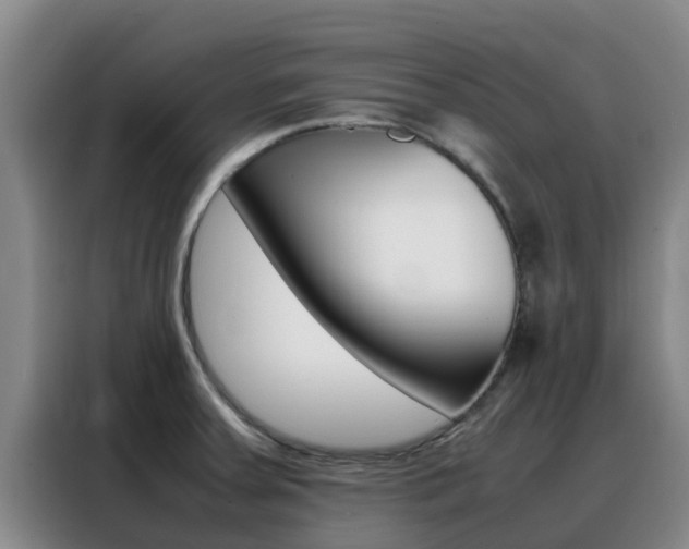 X0000088361379200705220724