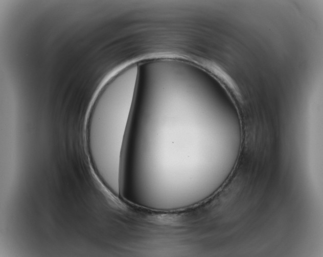 X0000088361380200705220724