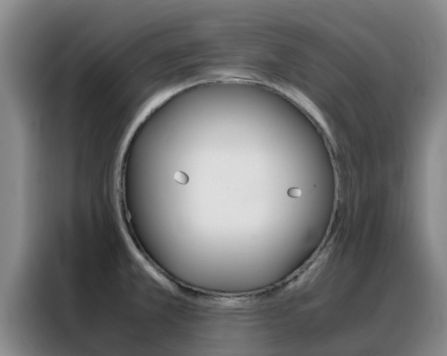 X0000088361381200705220724