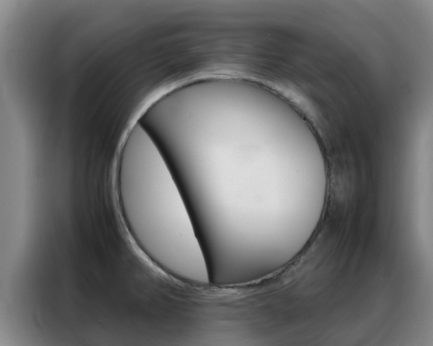 X0000088361382200705220724