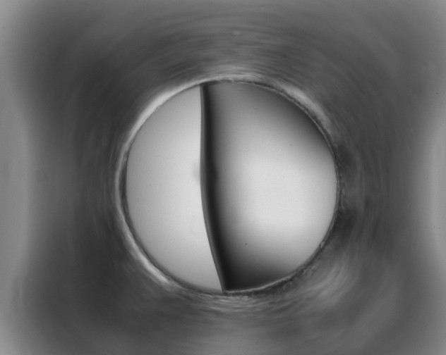 X0000088361383200705220724