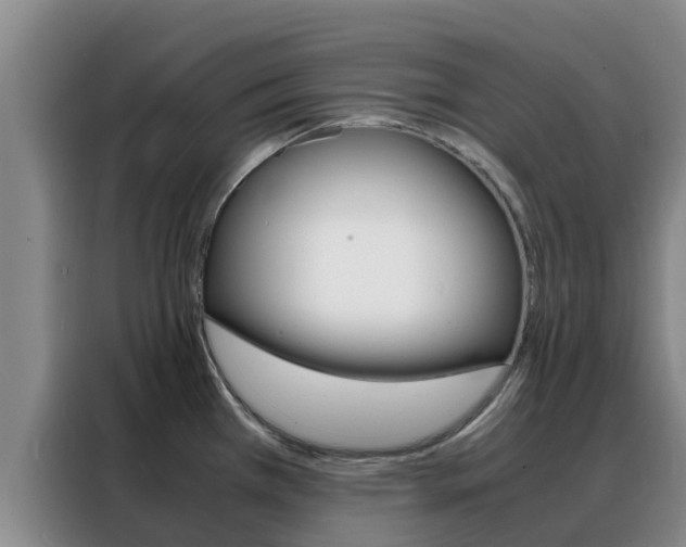 X0000088361385200705220724