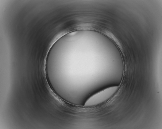 X0000088361386200705220724