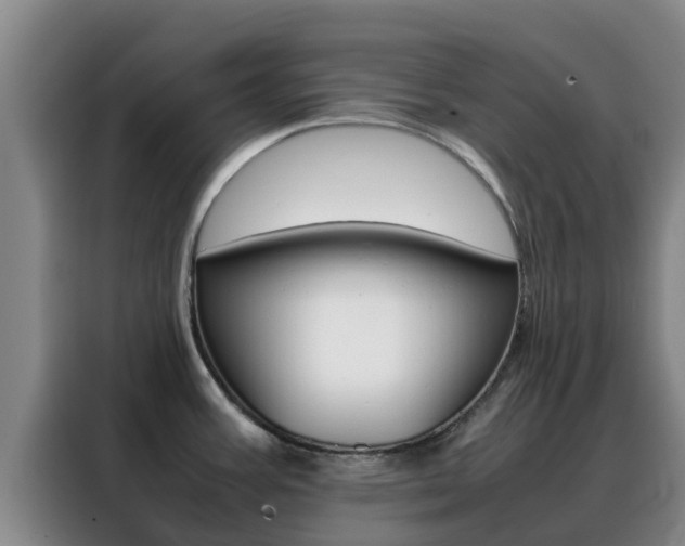 X0000088361387200705220724
