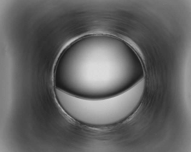 X0000088361388200705220724