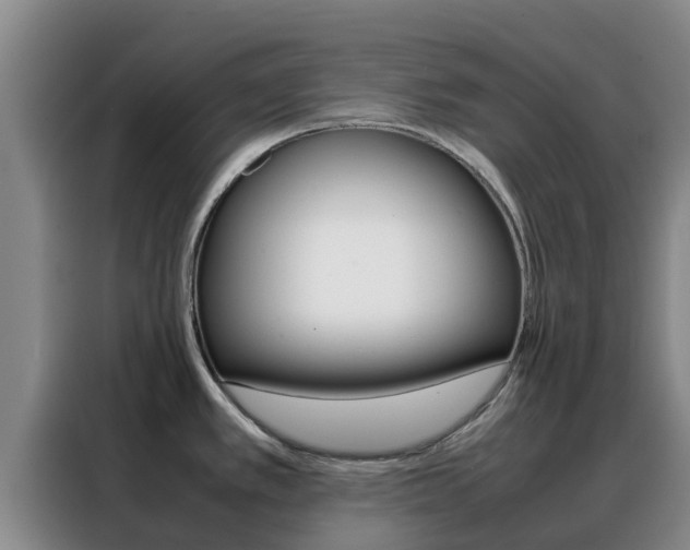 X0000088361389200705220724