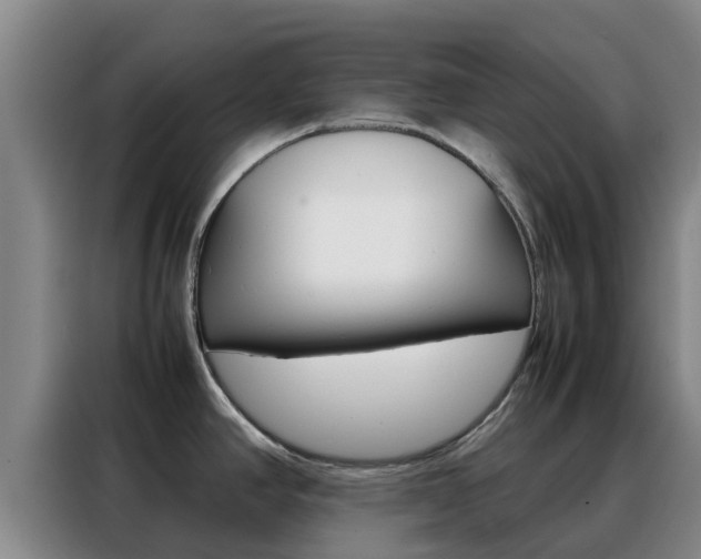 X0000088361390200705220724