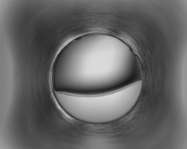 X0000088361391200705220724