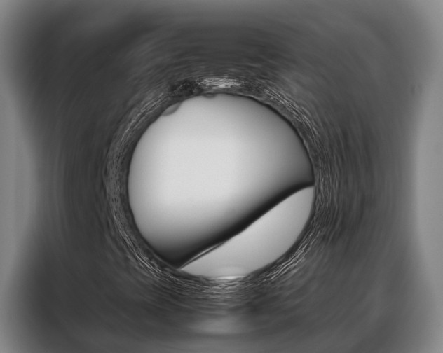 X0000088361393200705220723