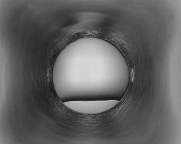 X0000088361395200705220723