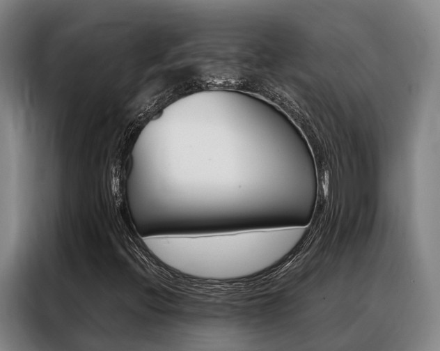 X0000088361396200705220723