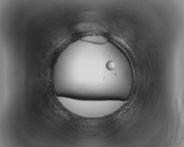 X0000088361399200705220723