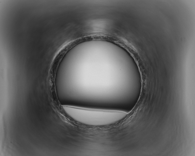 X0000088361400200705220723