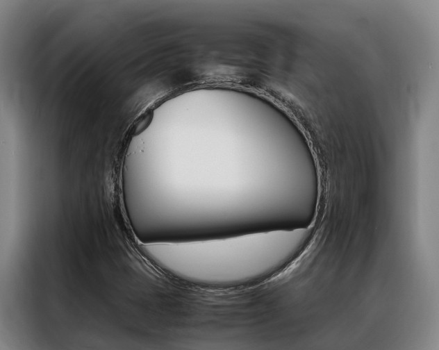 X0000088361401200705220723