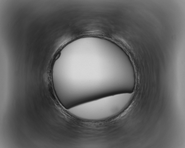 X0000088361405200705220723