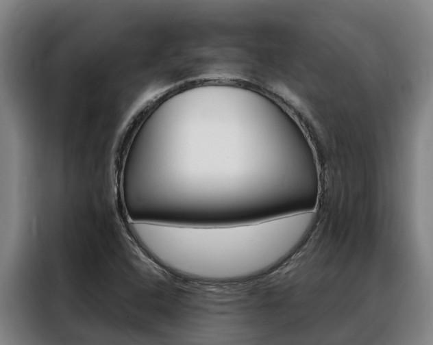 X0000088361408200705220724