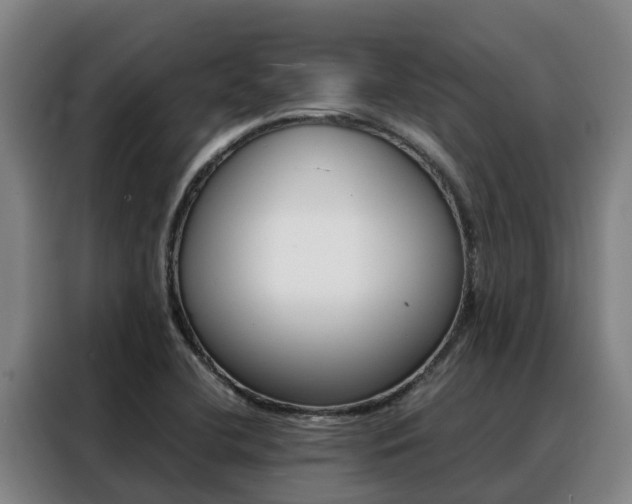 X0000088361412200705220724