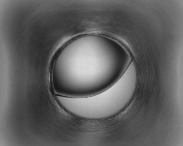 X0000088361414200705220724