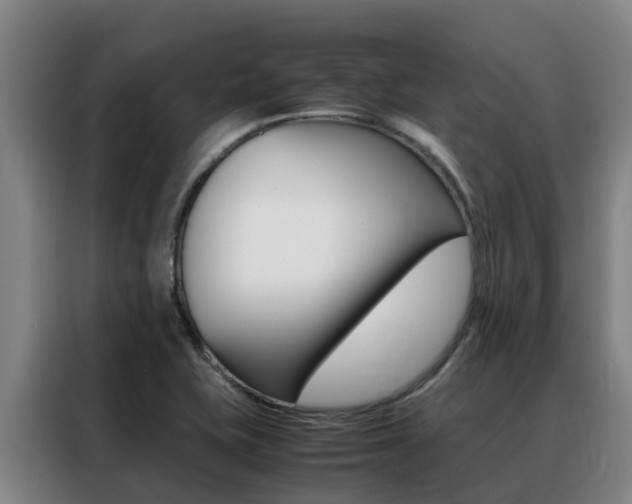 X0000088361415200705220724