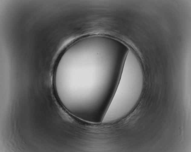 X0000088361416200705220724