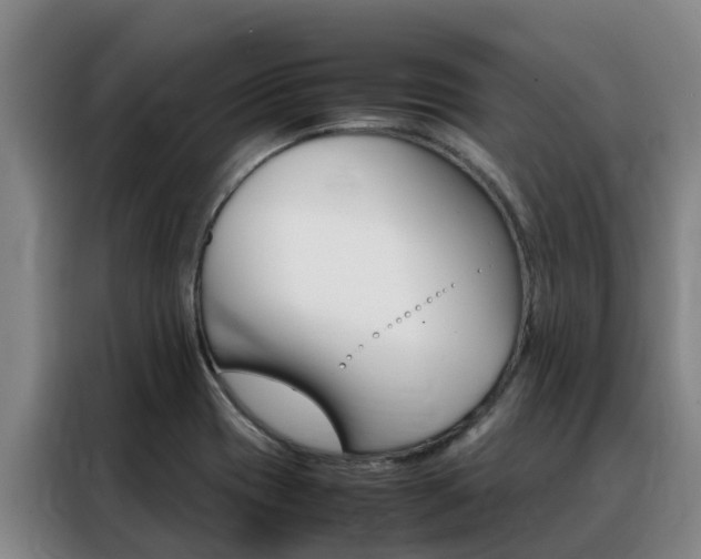 X0000088361417200705220724