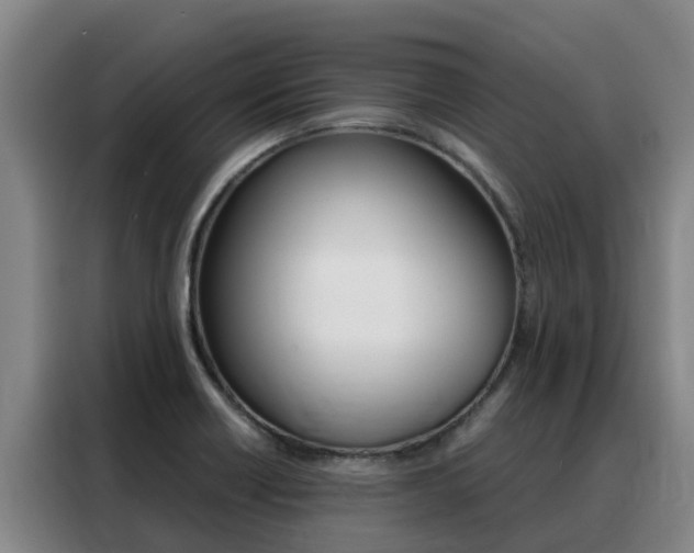 X0000088361418200705220724