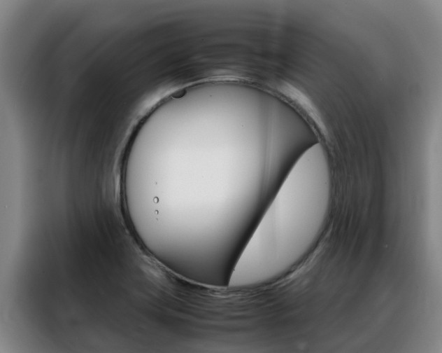 X0000088361419200705220724
