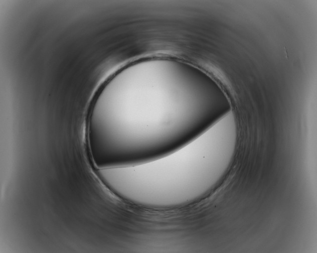 X0000088361420200705220724