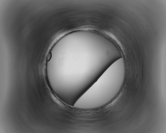 X0000088361421200705220724