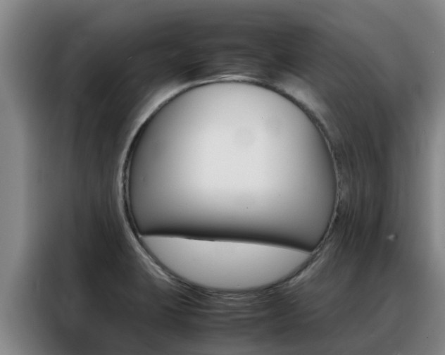 X0000088361423200705220724