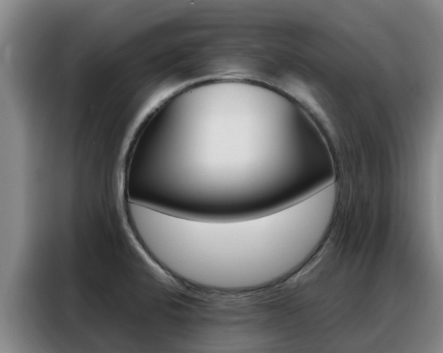 X0000088361424200705220724