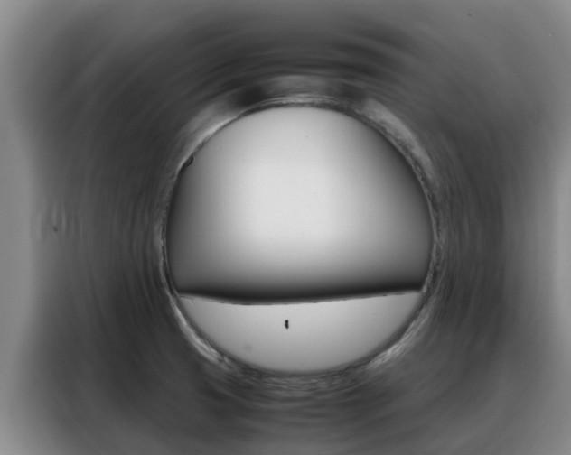 X0000088361425200705220724