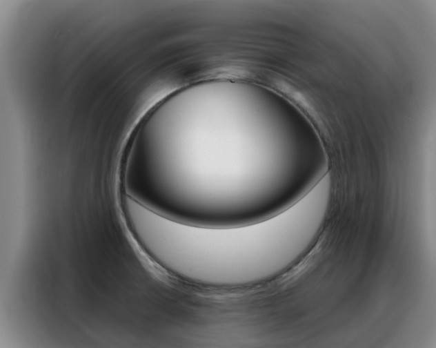 X0000088361426200705220724