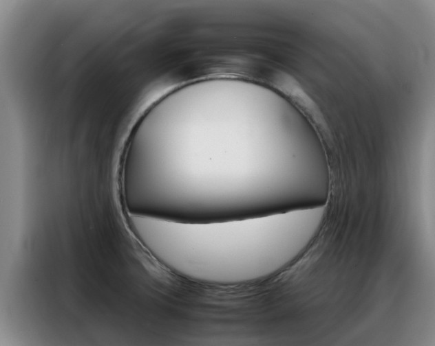 X0000088361427200705220724