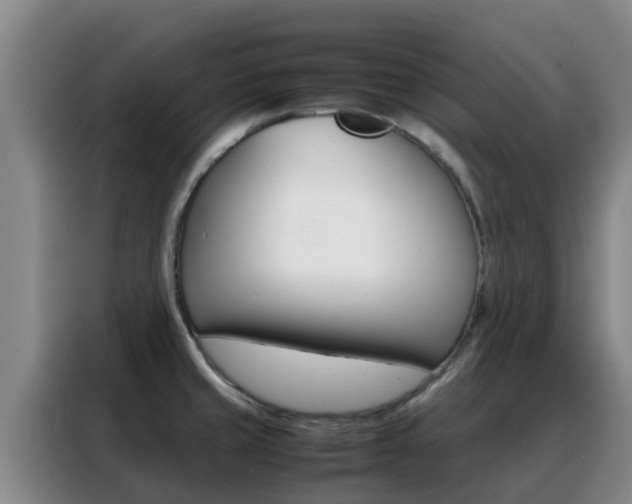 X0000088361429200705220724