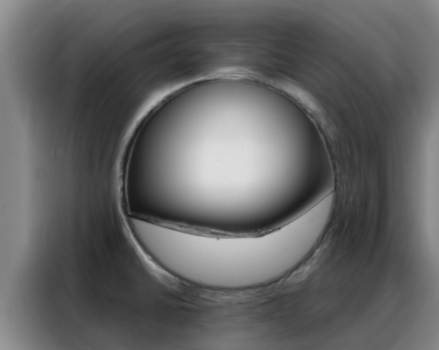 X0000088361430200705220724