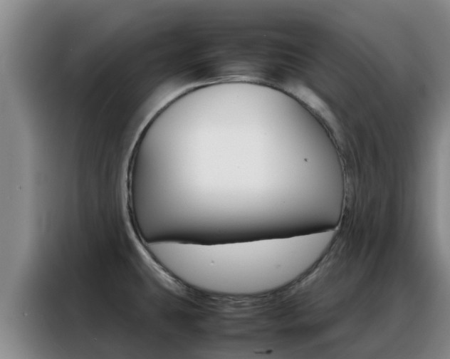 X0000088361431200705220724