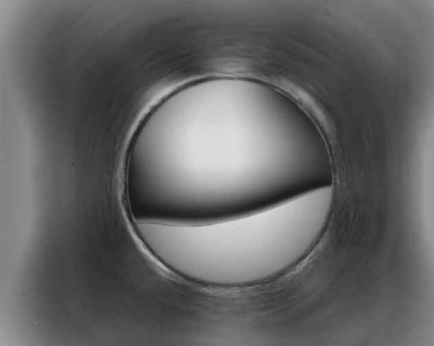X0000088361432200705220724