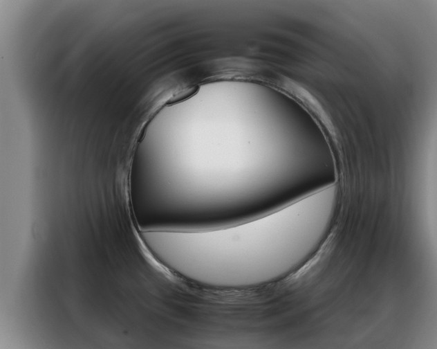 X0000088361433200705220724