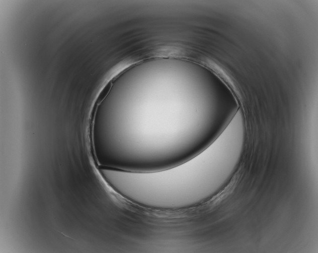 X0000088361434200705220724