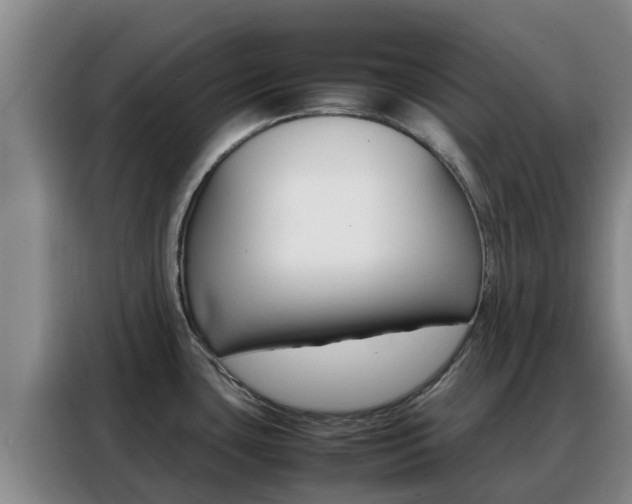 X0000088361435200705220724