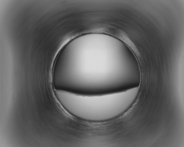 X0000088361436200705220724
