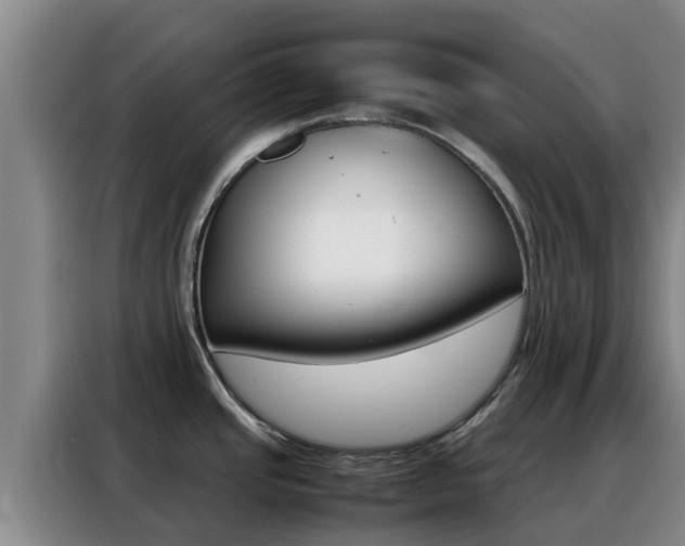 X0000088361437200705220724