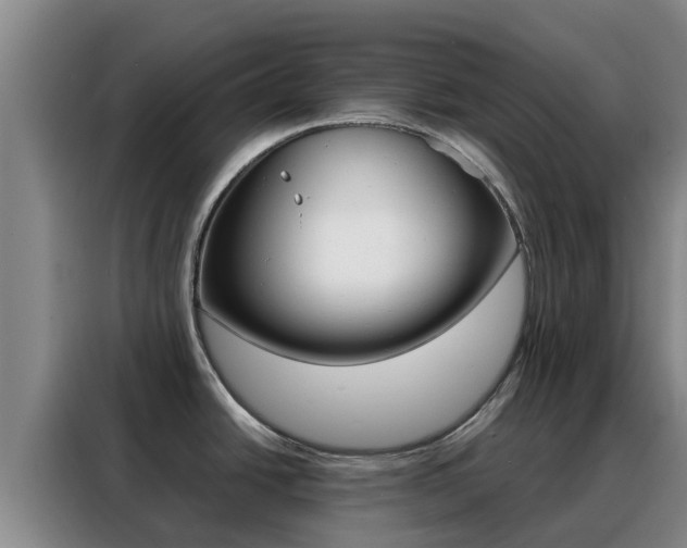 X0000088361438200705220724