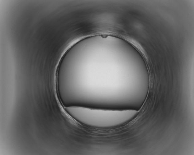 X0000088361439200705220724