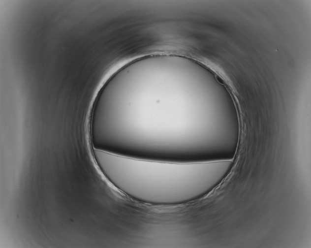 X0000088361440200705220724