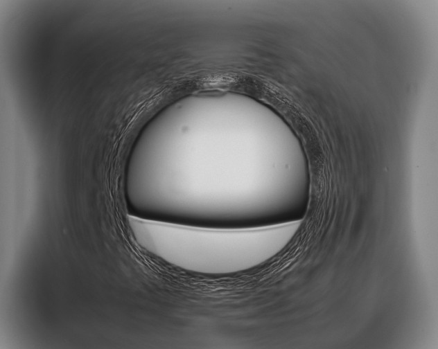X0000088361441200705220723