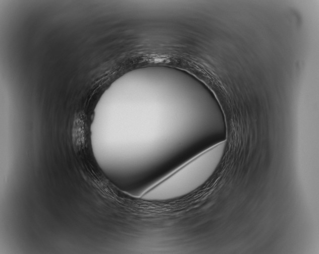 X0000088361442200705220723