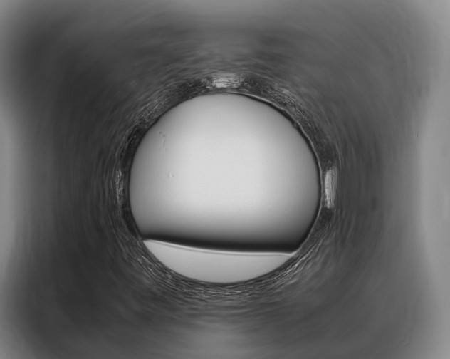 X0000088361443200705220723